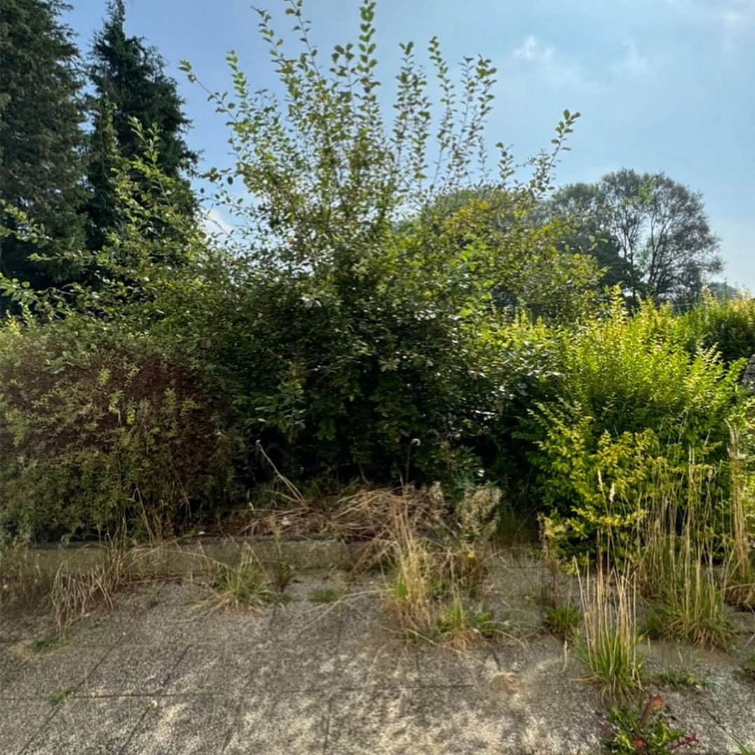 Tuinen De Herdt onderhoud_0001