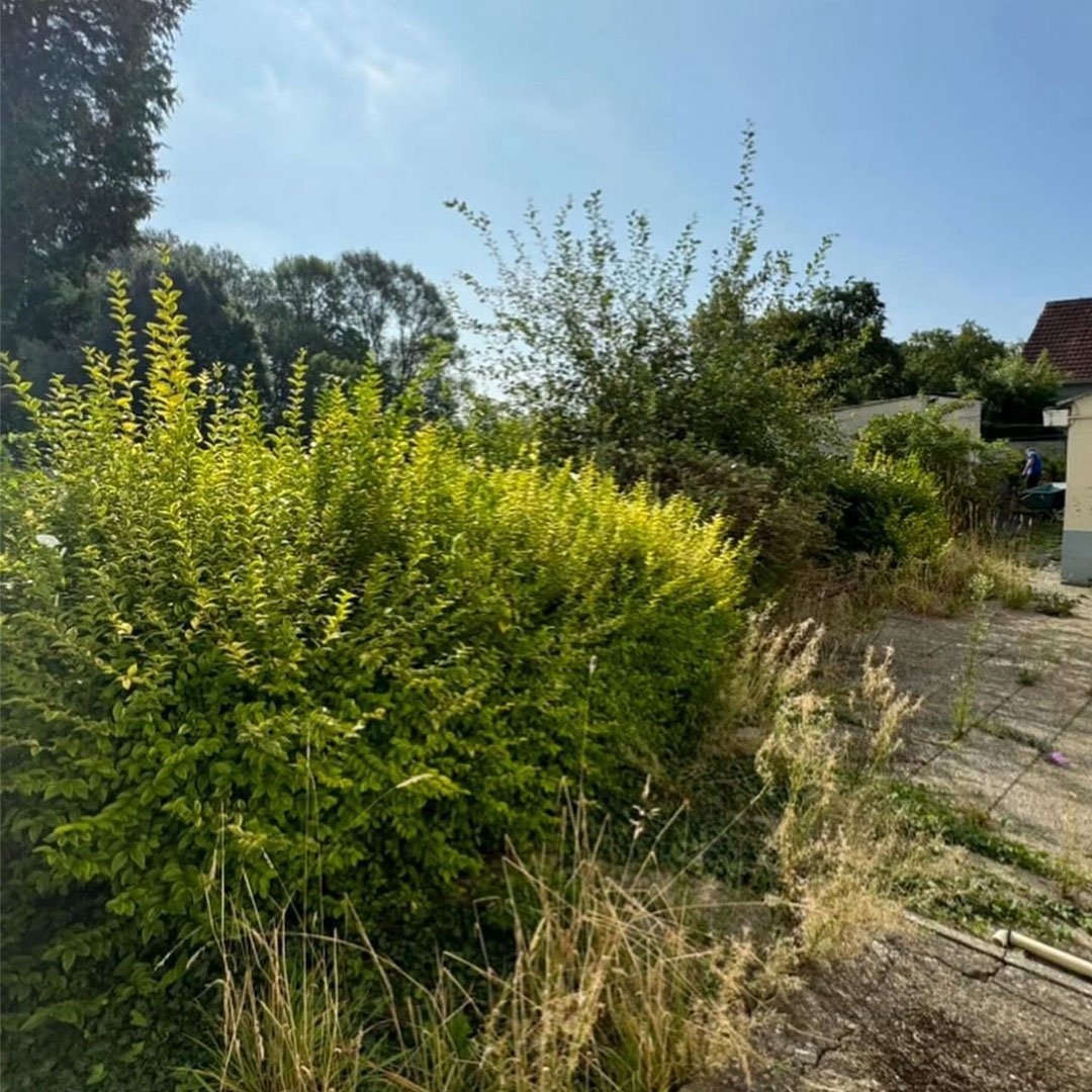 Tuinen De Herdt onderhoud_0003