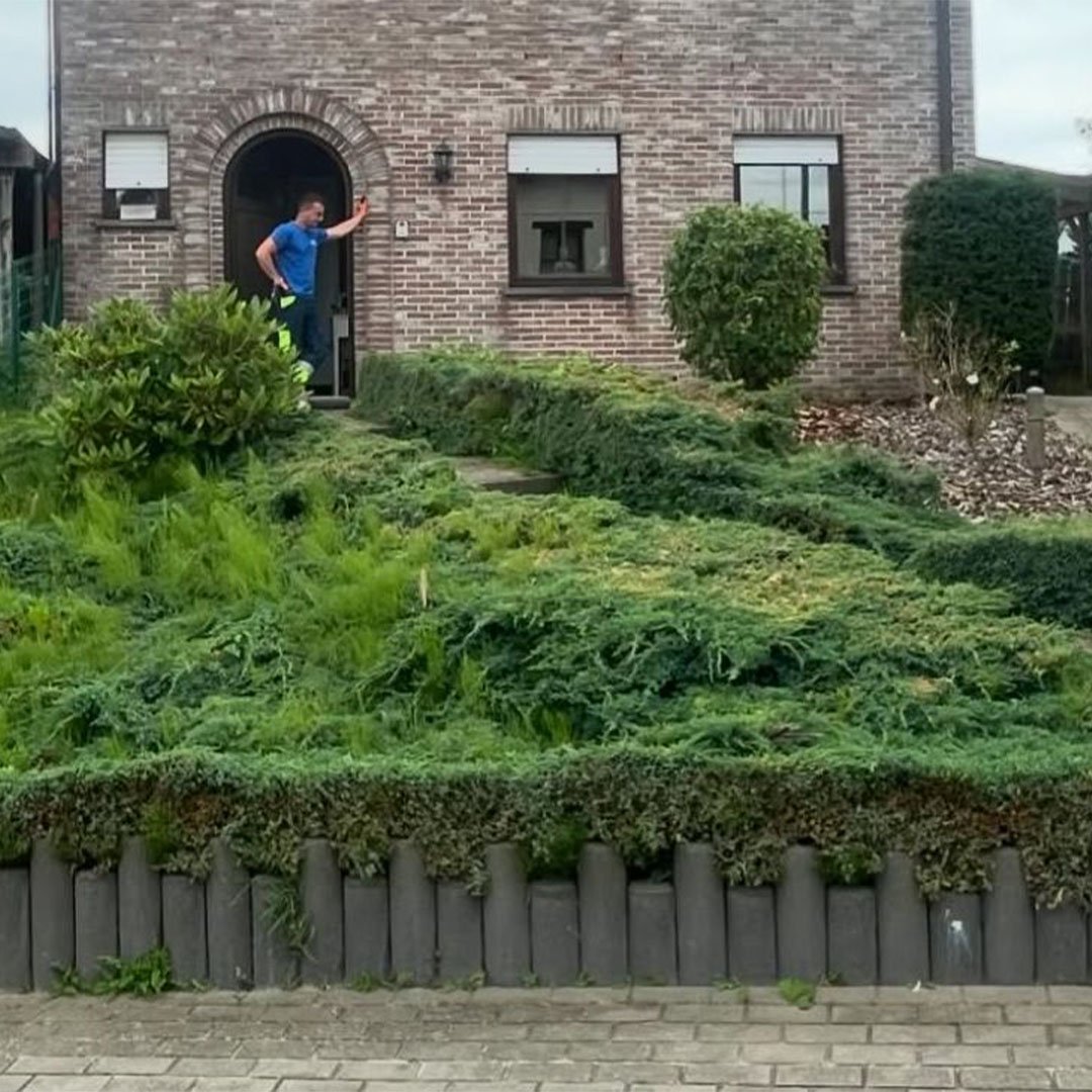 Tuinen De Herdt tuinaanleg_0007