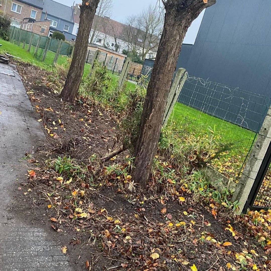 Tuinen De Herdt tuinaanleg_0011