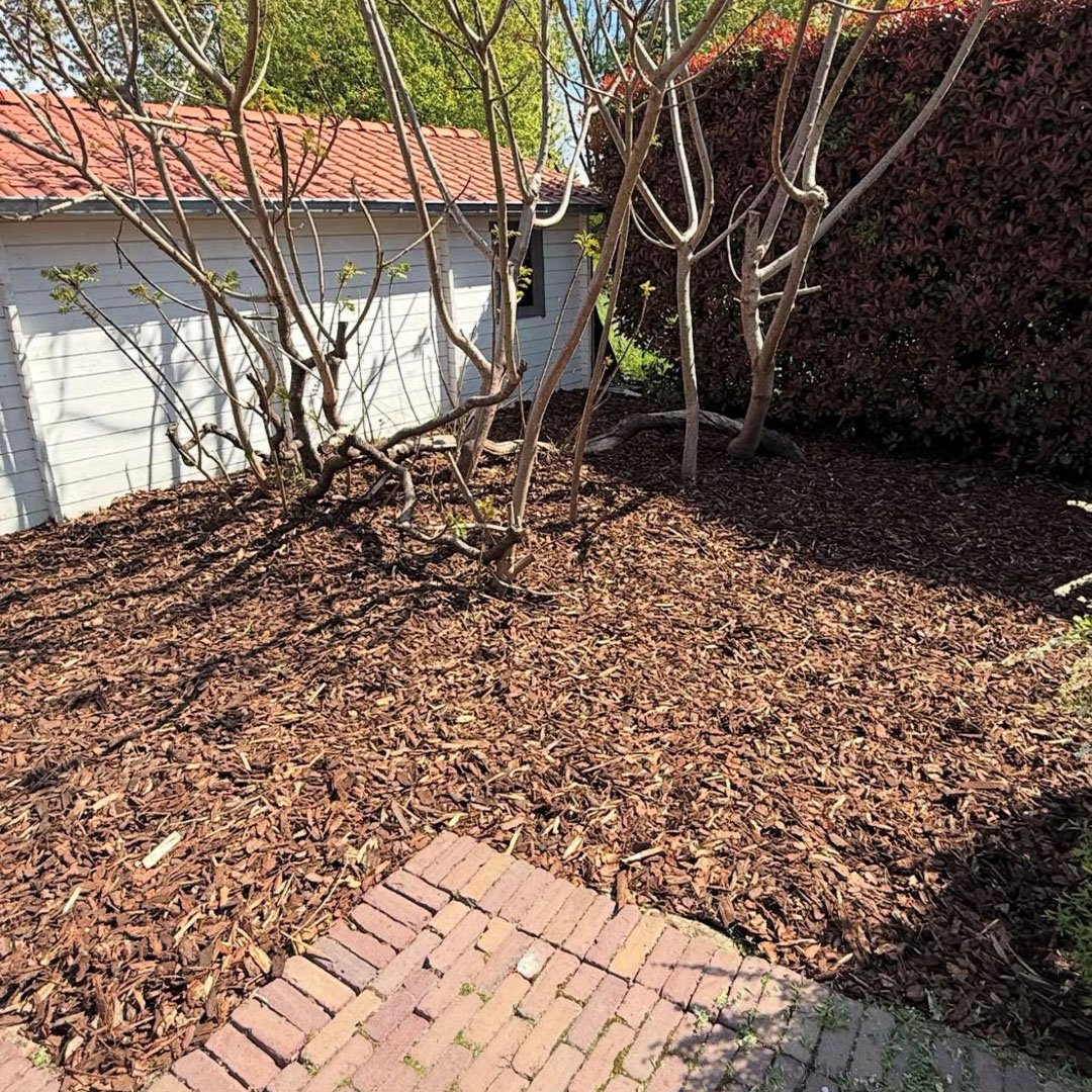 Tuinen De Herdt tuinaanleg_0016