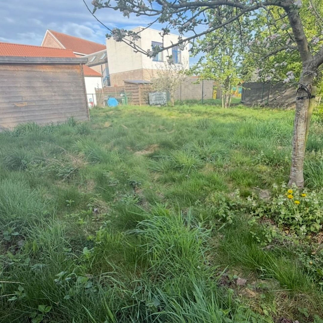 Tuinen De Herdt tuinaanleg_0020