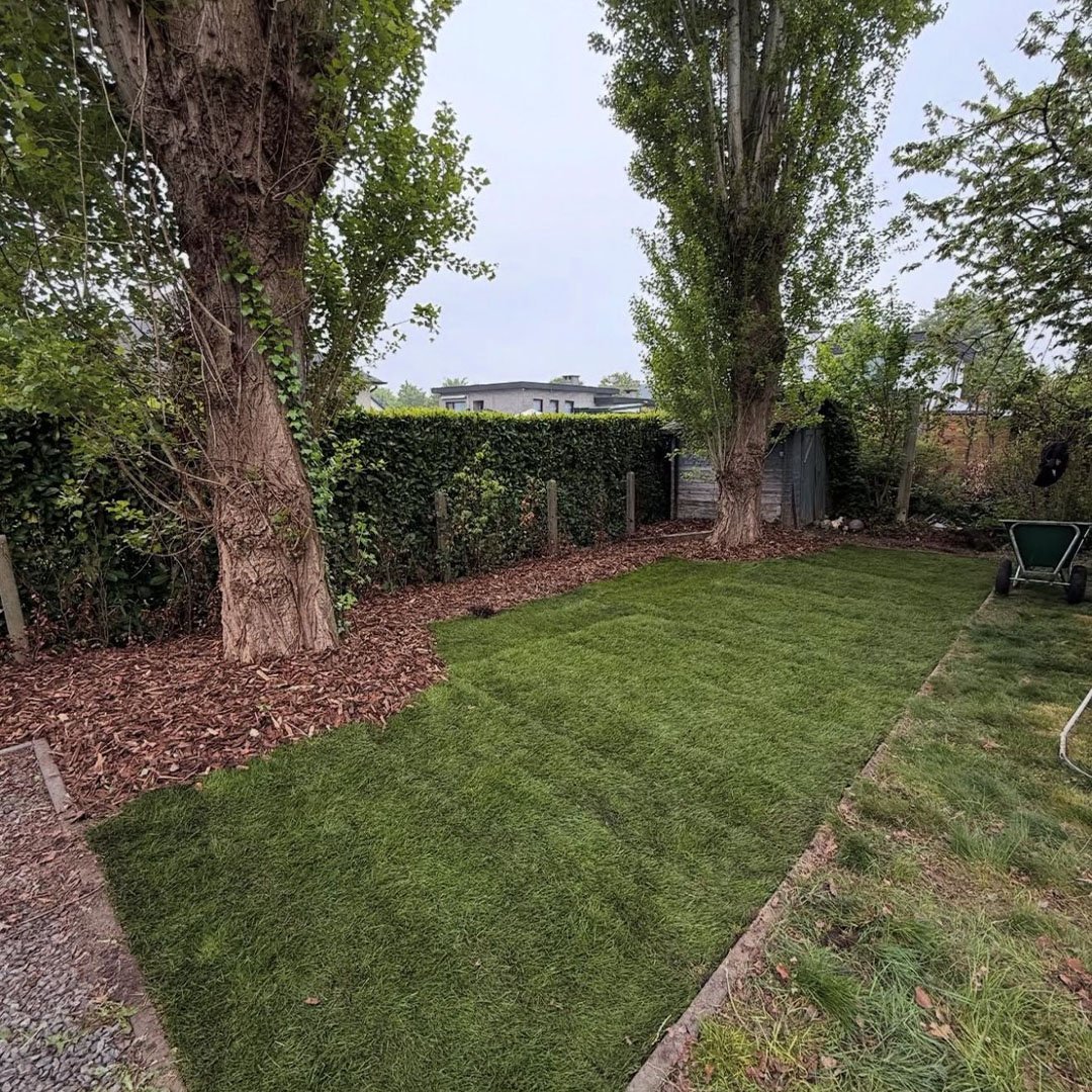 Tuinen De Herdt tuinaanleg_0021