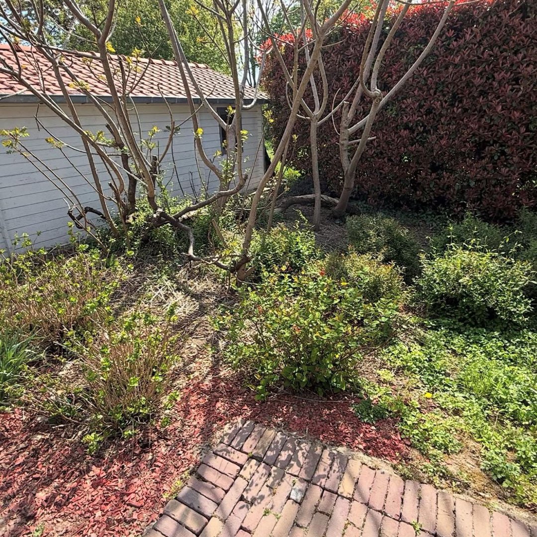 Tuinen De Herdt tuinaanleg_0023