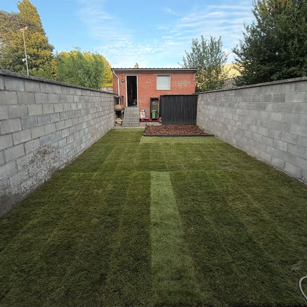 Tuinen De Herdt tuinaanleg_0026