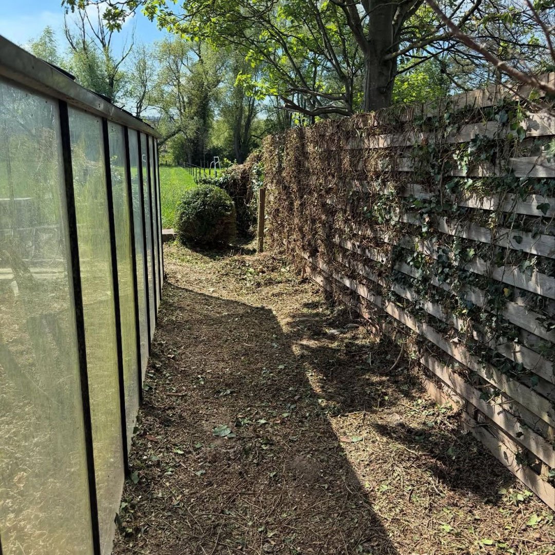 Tuinen De Herdt tuinonderhoud_0004