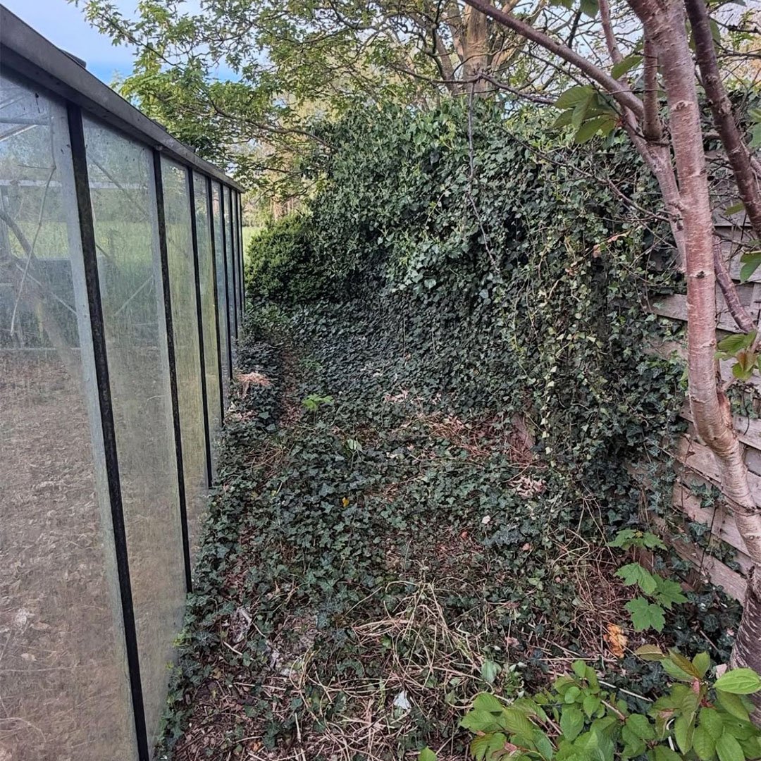 Tuinen De Herdt tuinonderhoud_0005