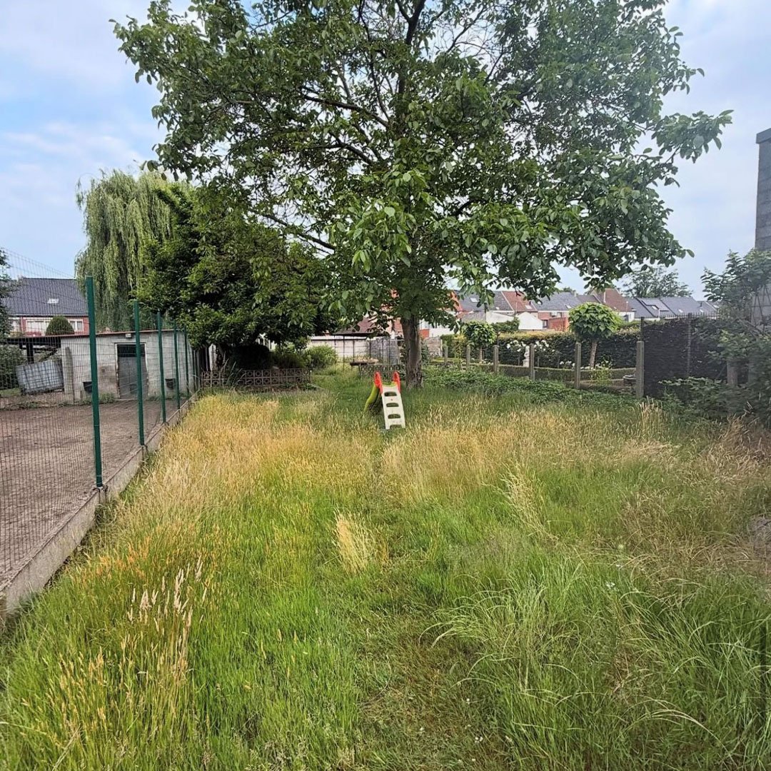 Tuinen De Herdt tuinonderhoud_0006