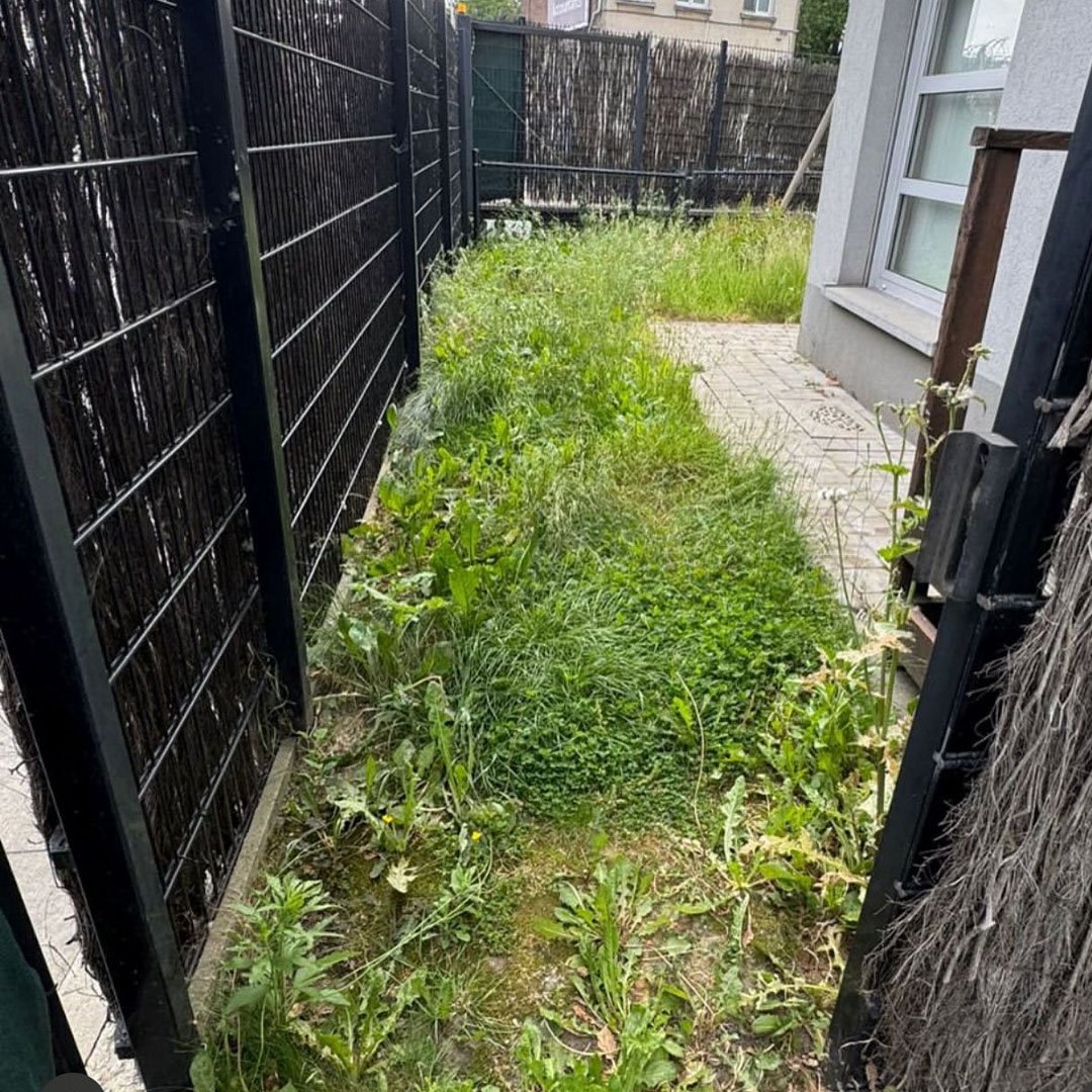 Tuinen De Herdt tuinonderhoud_0007