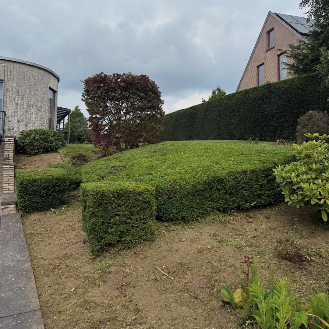 Tuinen De Herdt tuinonderhoud_0014