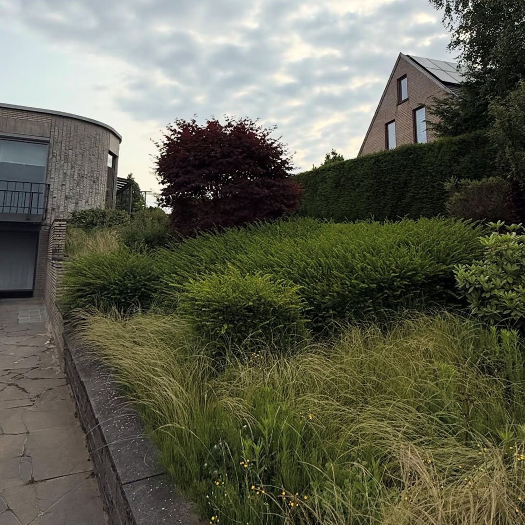 Tuinen De Herdt tuinonderhoud_0015