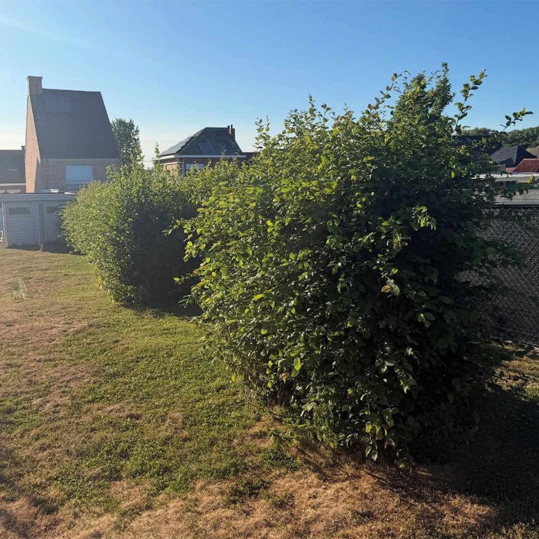 Tuinen De Herdt tuinonderhoud_0016