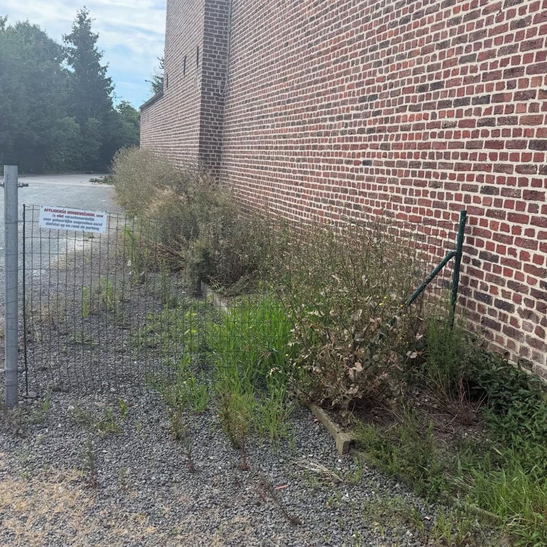 Tuinen De Herdt tuinonderhoud_0020