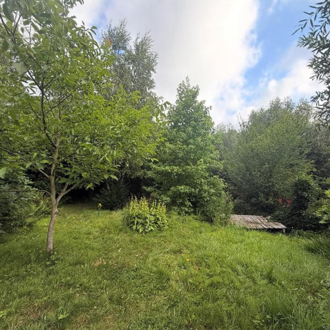 Tuinen De Herdt tuinonderhoud_0024